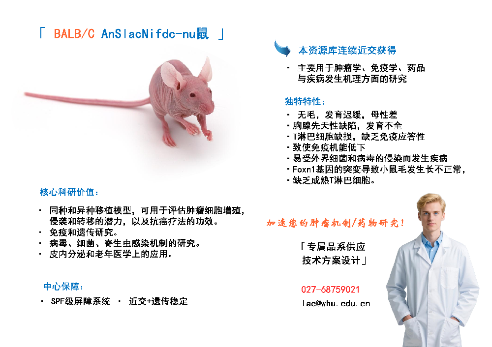 BALB/C AnSIacNifdc-nu